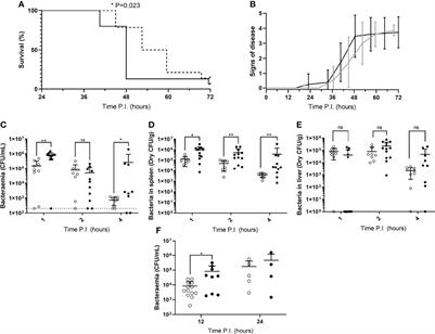 Diurnal Differences in Intracellular Replication Within Splenic Macrophages Correlates With the Outcome of Pneumococcal Infection